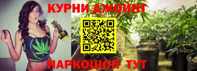 PSILOCYBIN Пугачёв